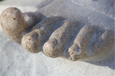 ICOPOMA lucha contra el intrusismo